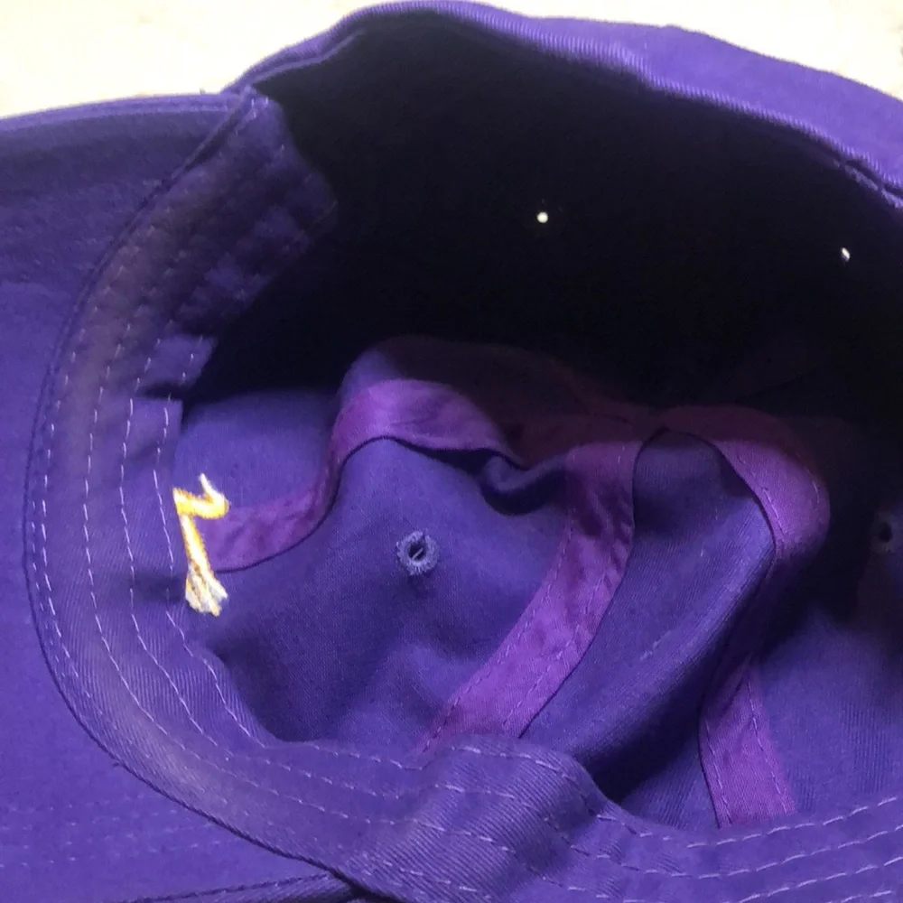 Purple southern marsh cap with Gold Duck Embroidery